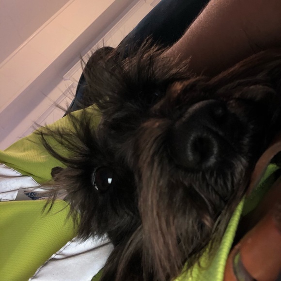 Meet your Posher, Ramon - Picture 1 of 1